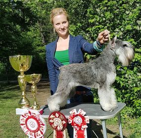 Мать щенков