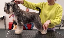 Sky Keeper Царская Особа