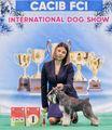 Международная выставка собак (CACIB) МИНСК