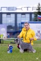 Псков, КЧК + Национальные выставки