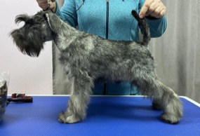 Скай Кипер Жерар, Нижний Новгород